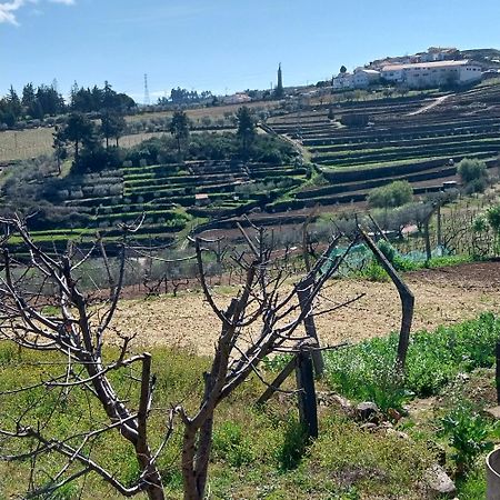 Douro Feels Like Home Fontelo  エクステリア 写真